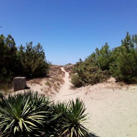 Casa Nel Parco Sulla Spiaggia 比萨 外观 照片