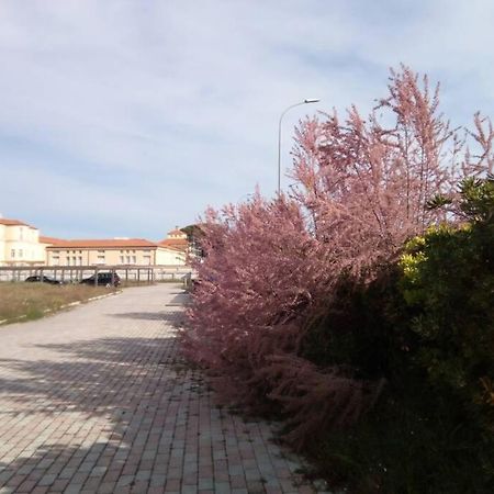 Casa Nel Parco Sulla Spiaggia 比萨 外观 照片