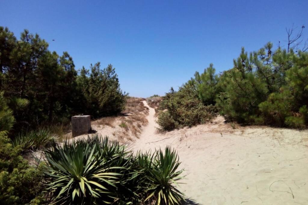 Casa Nel Parco Sulla Spiaggia 比萨 外观 照片