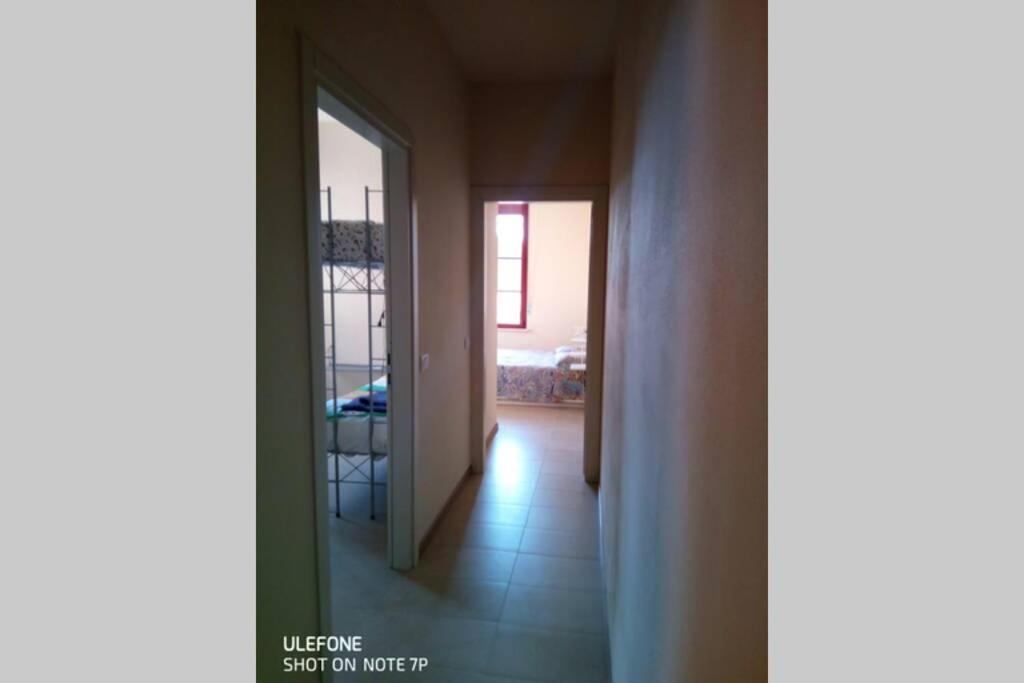 Casa Nel Parco Sulla Spiaggia 比萨 外观 照片