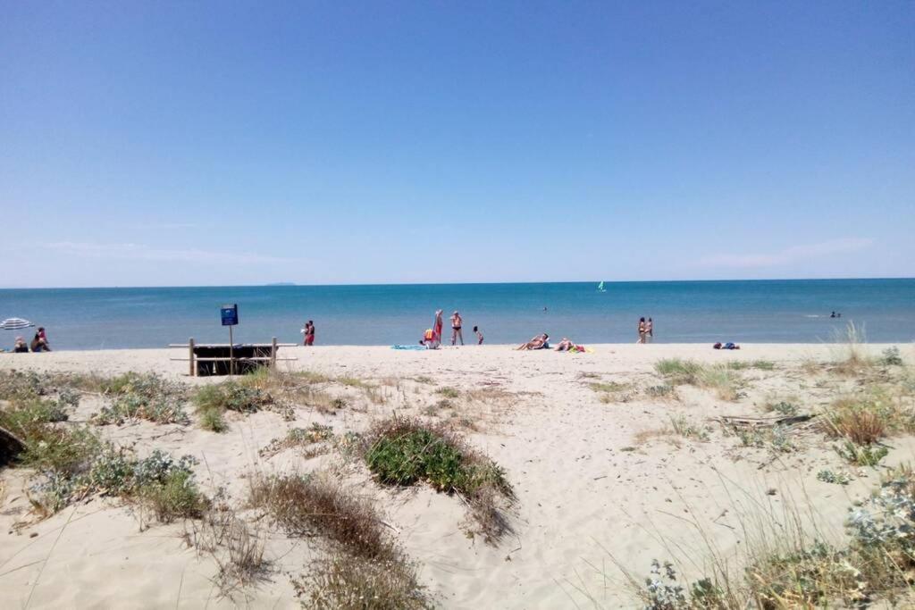 Casa Nel Parco Sulla Spiaggia 比萨 外观 照片