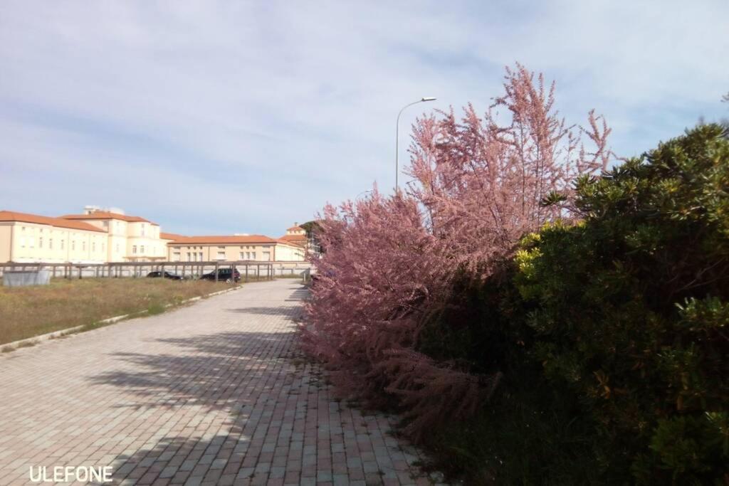 Casa Nel Parco Sulla Spiaggia 比萨 外观 照片