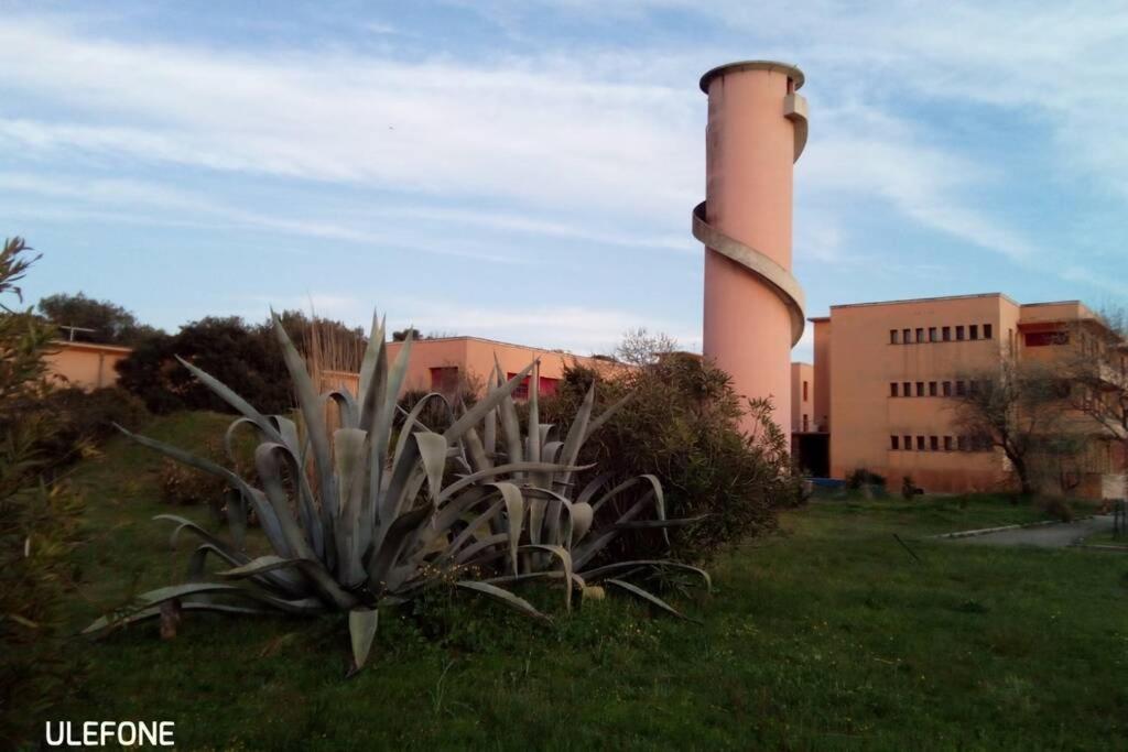 Casa Nel Parco Sulla Spiaggia 比萨 外观 照片